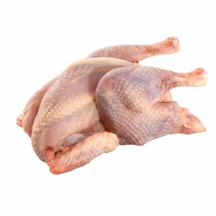 A boiler chicken hen