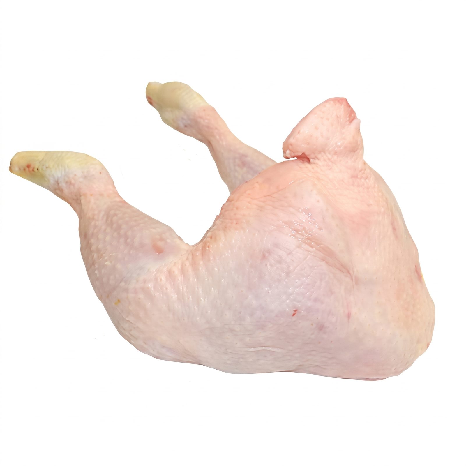 Tavuk Çift Bacak (Chicken Double Legs)
