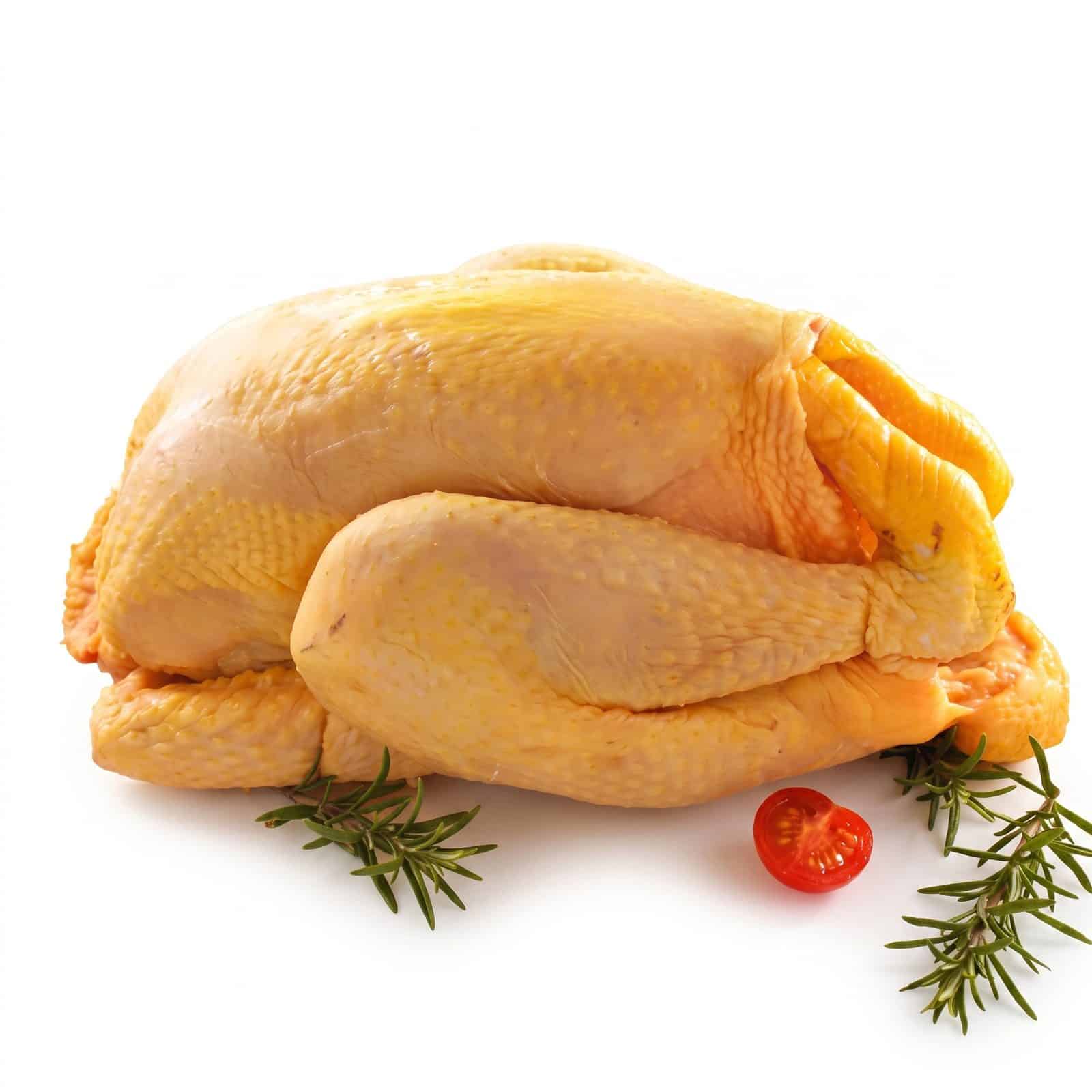 Mısırla Beslenmiş Tavuk (Corn-Fed Chicken)