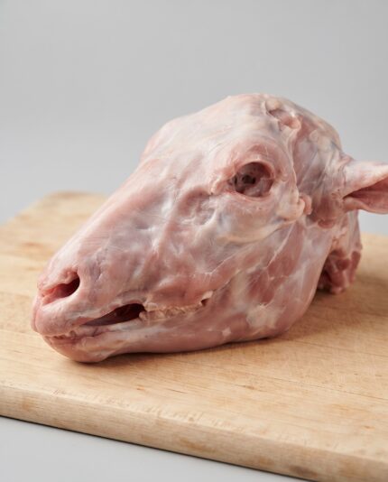 Lamb Head — Skinless — A whole skinned lamb head with smooth pale flesh, no wool or skin, jaw and skull exposed