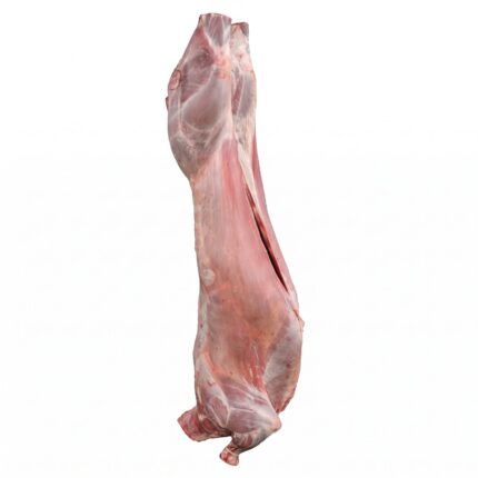 A whole lamb carcass