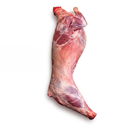 A raw baby lamb side on a white background