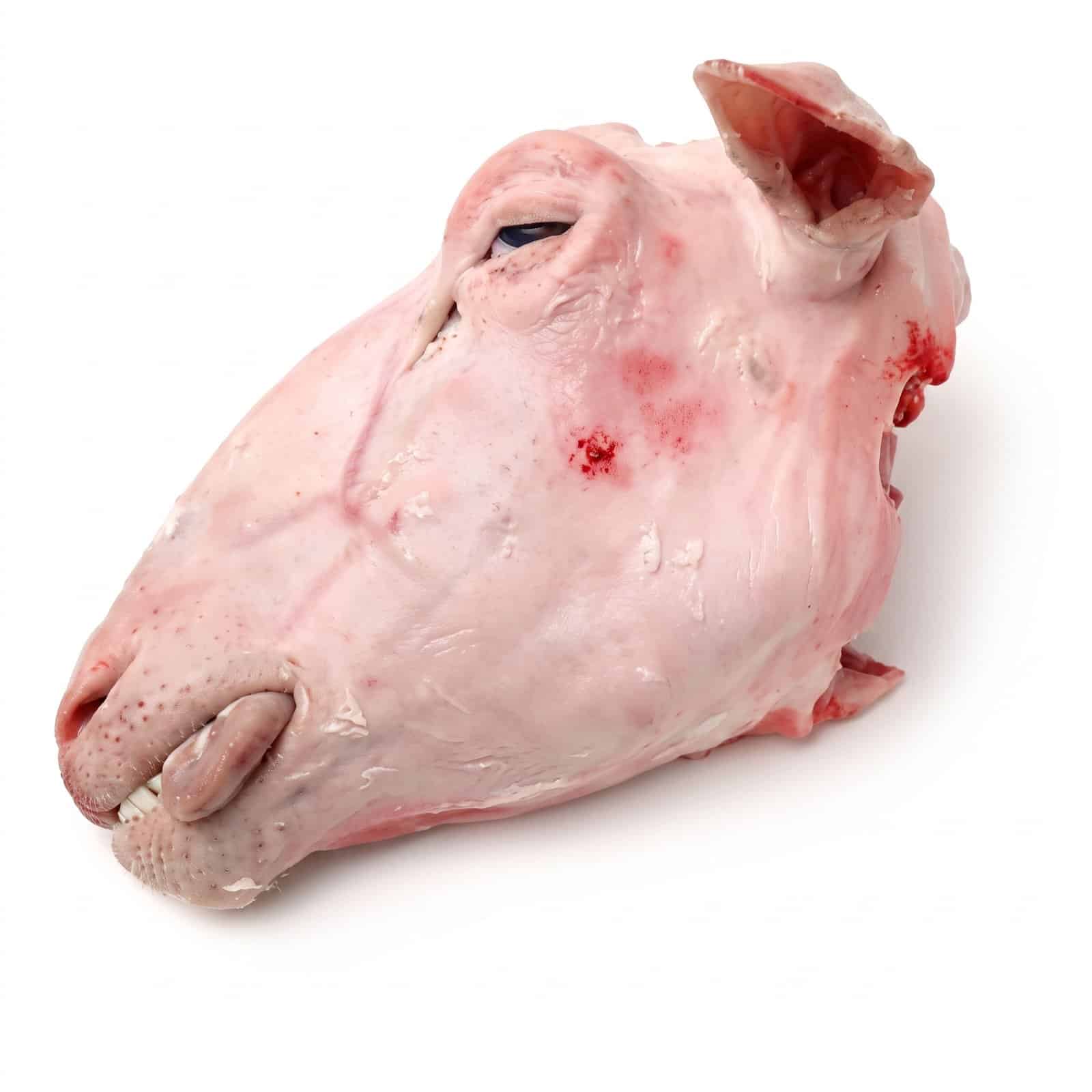 Kuzu Kelle (Lamb Head)