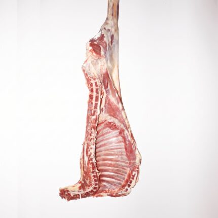 A raw mutton side hanging from a hook