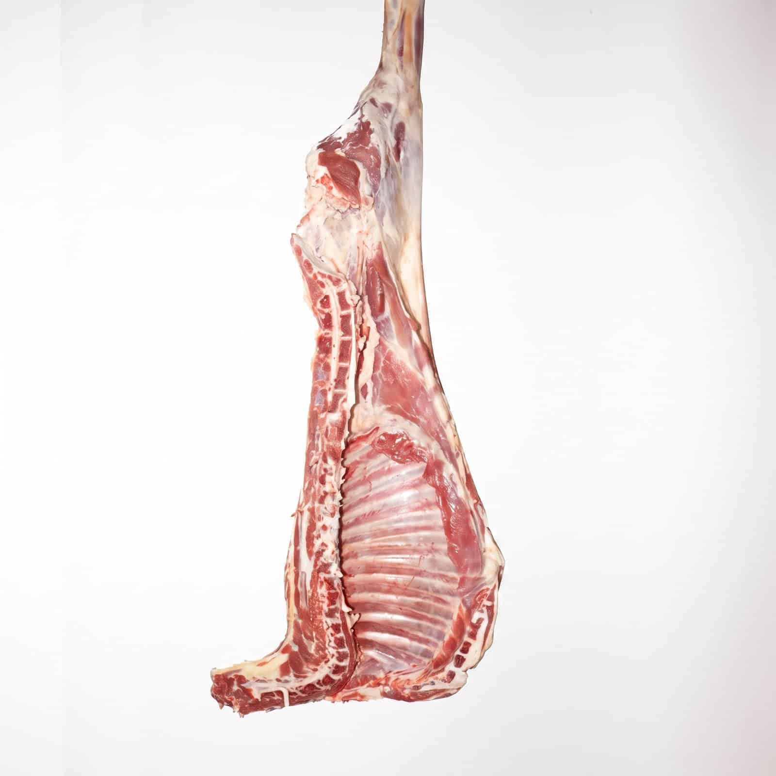 Koyun (Mutton)